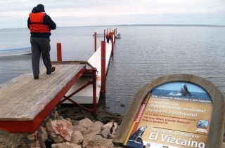 Salida para ver ballenas